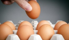 蛋仔最新爆料载具多少钱,神秘载具价格揭晓，心动不已！