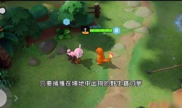 宝可梦大集结最新爆料吧,神秘新角色登场，战斗系统大升级！