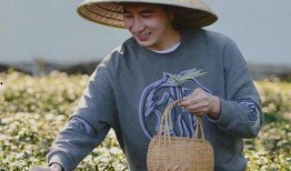 林生斌事件最新视频爆料,真相再起波澜，疑云重重引关注